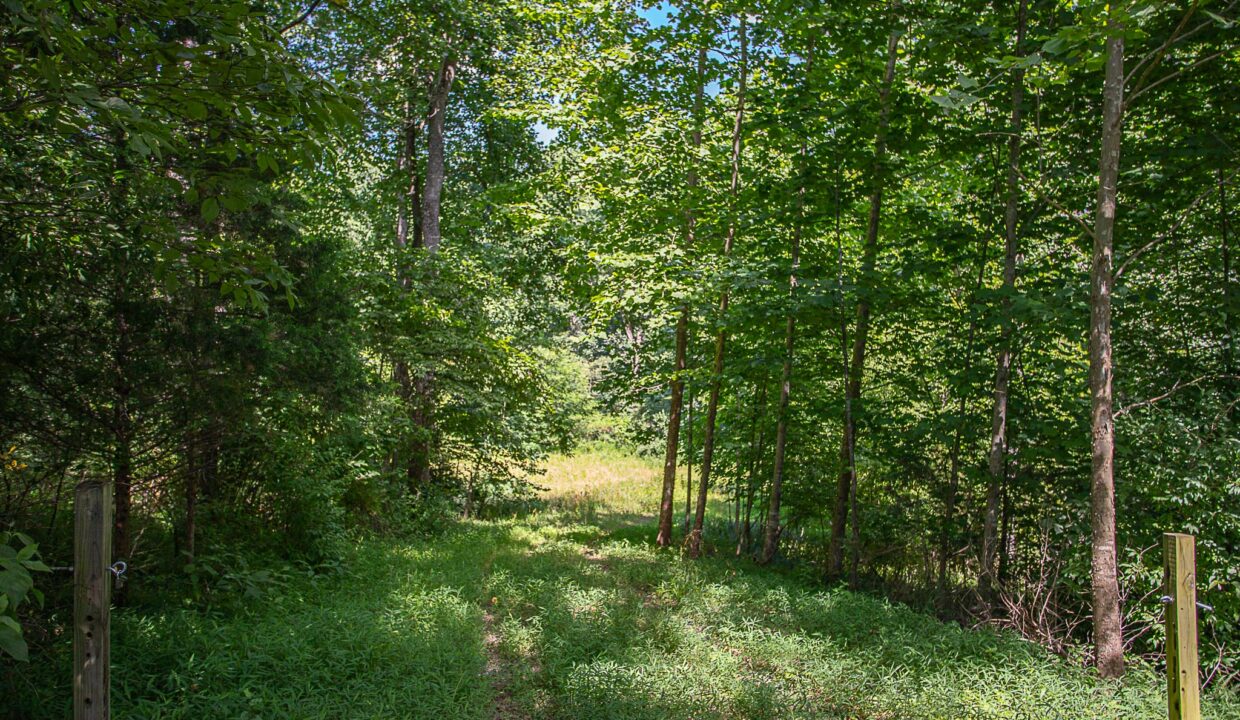 Land for Sale in Madison_01