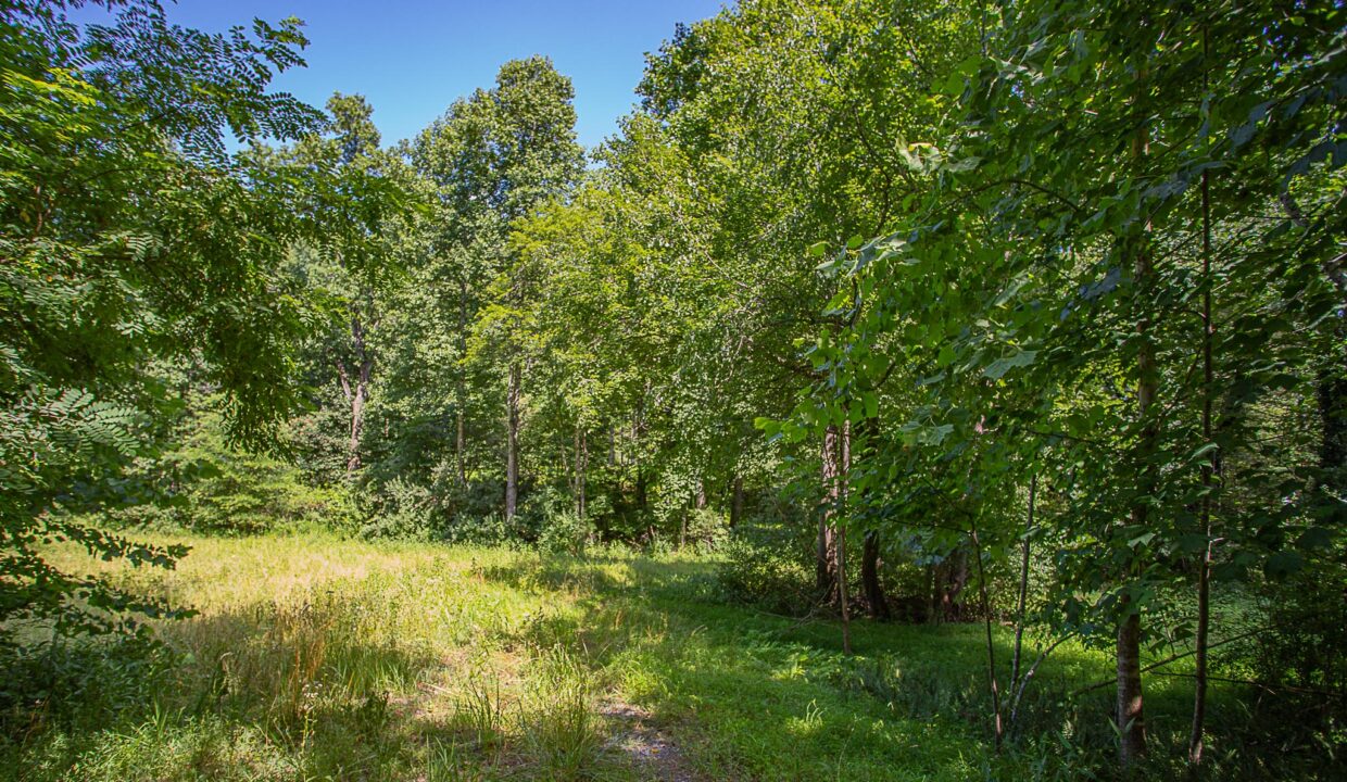 Land for Sale in Madison_02