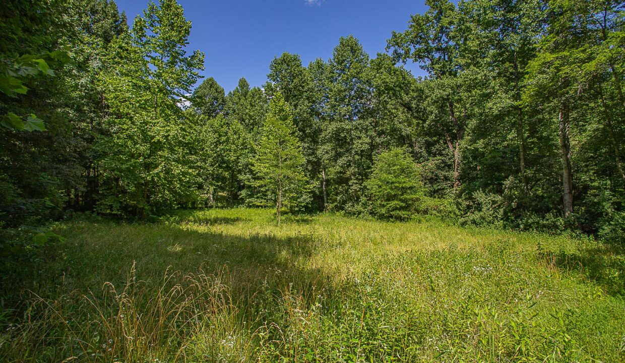 Land for Sale in Madison_03