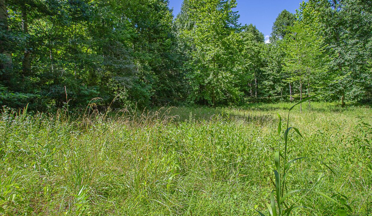 Land for Sale in Madison_04