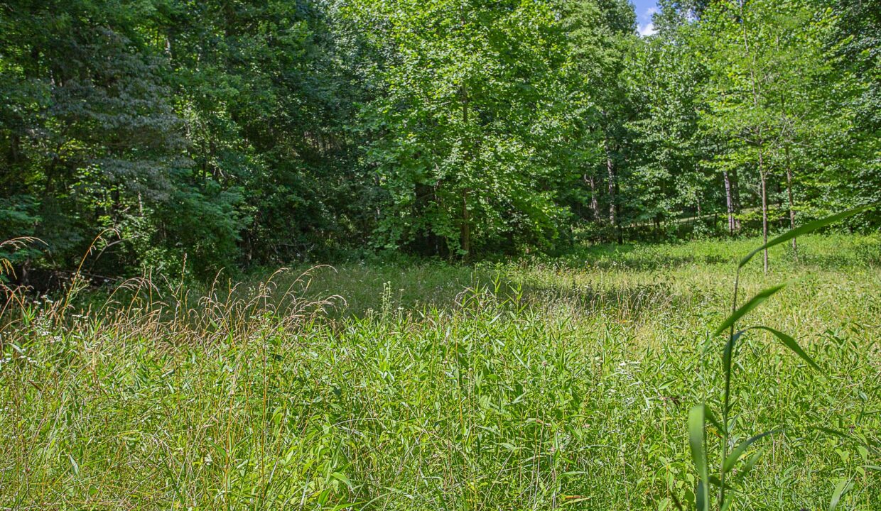 Land for Sale in Madison_05