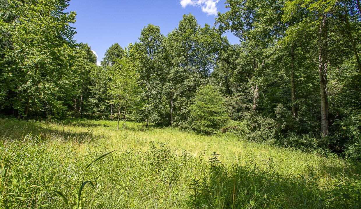 Land for Sale in Madison_06