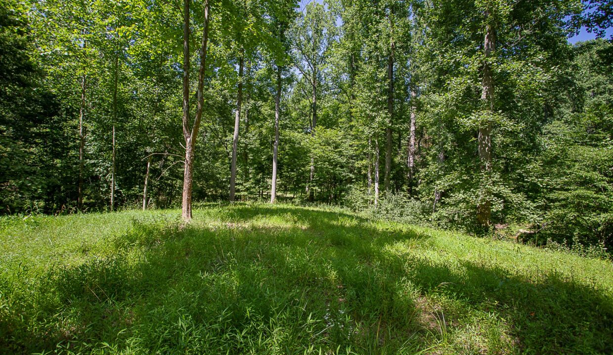Land for Sale in Madison_14