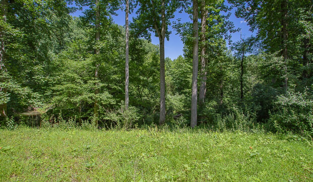 Land for Sale in Madison_16