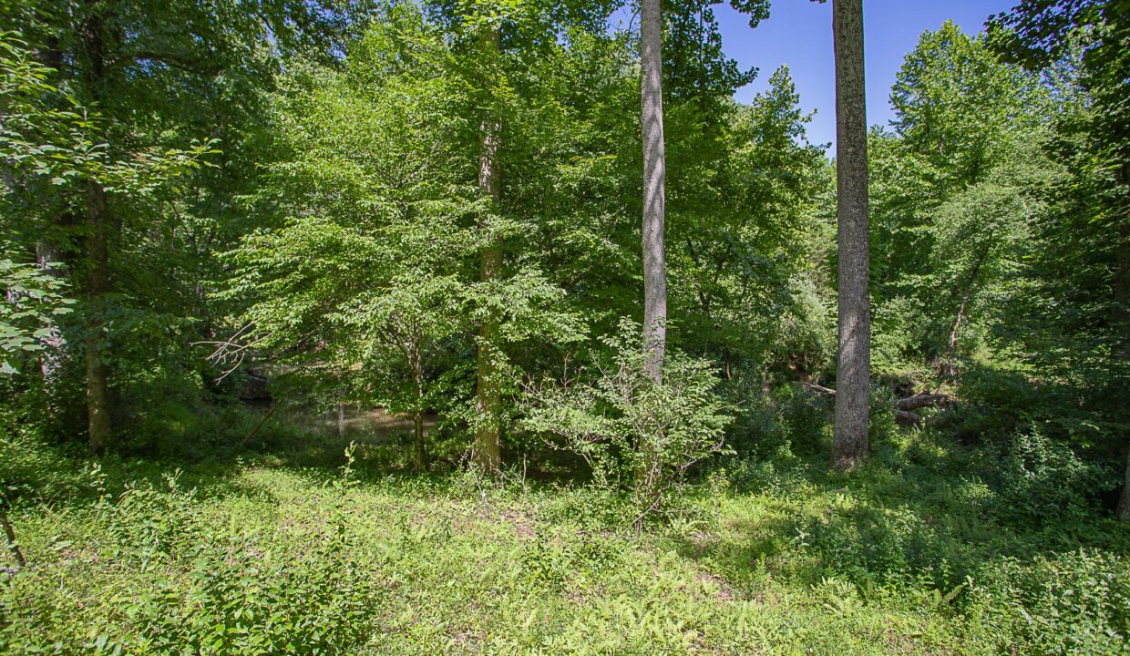 Land for Sale in Madison_18