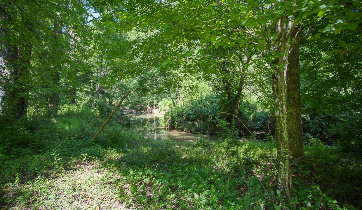 Land for Sale in Madison_19