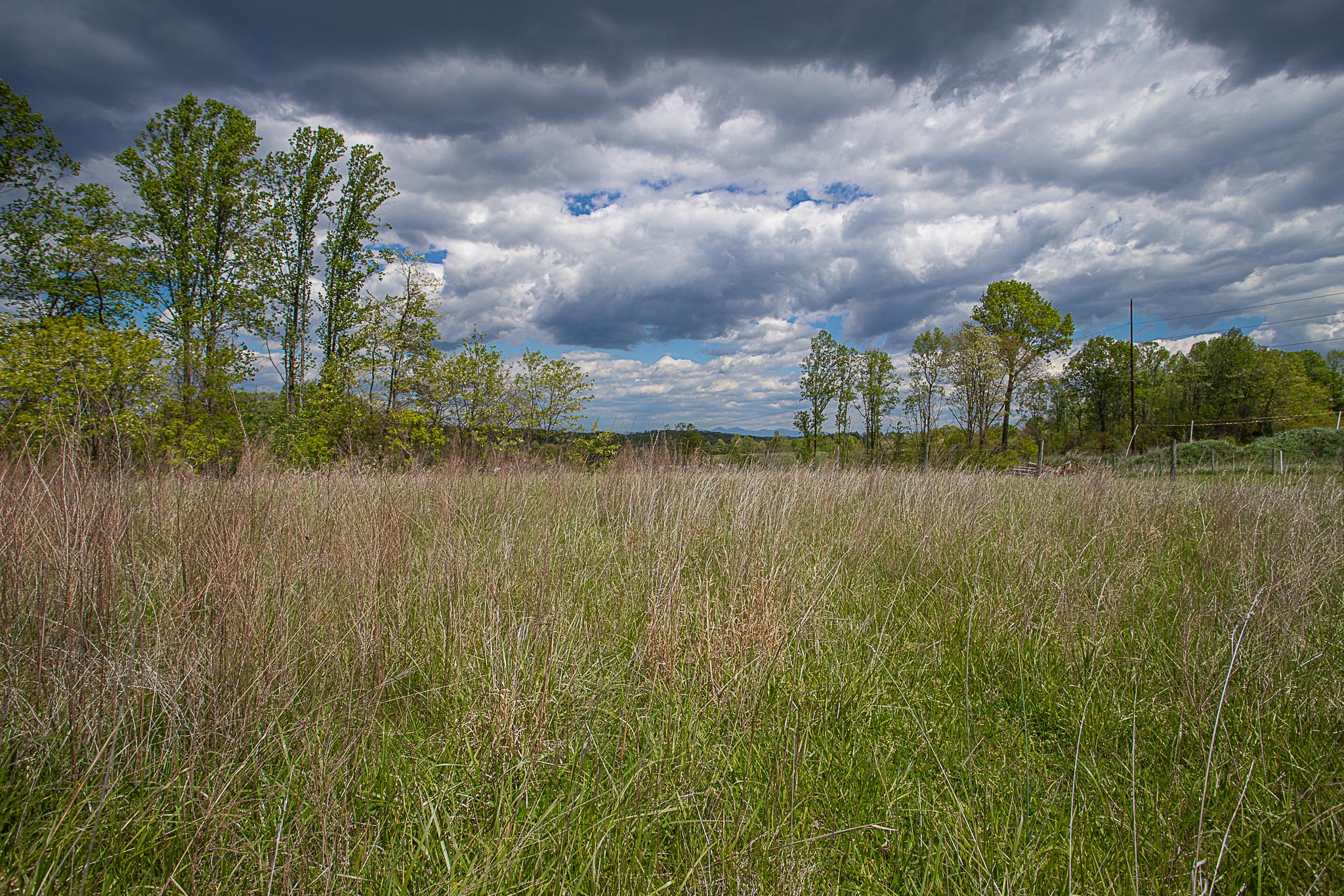 Land in Franklin County, Timber Ridge, Lot #15