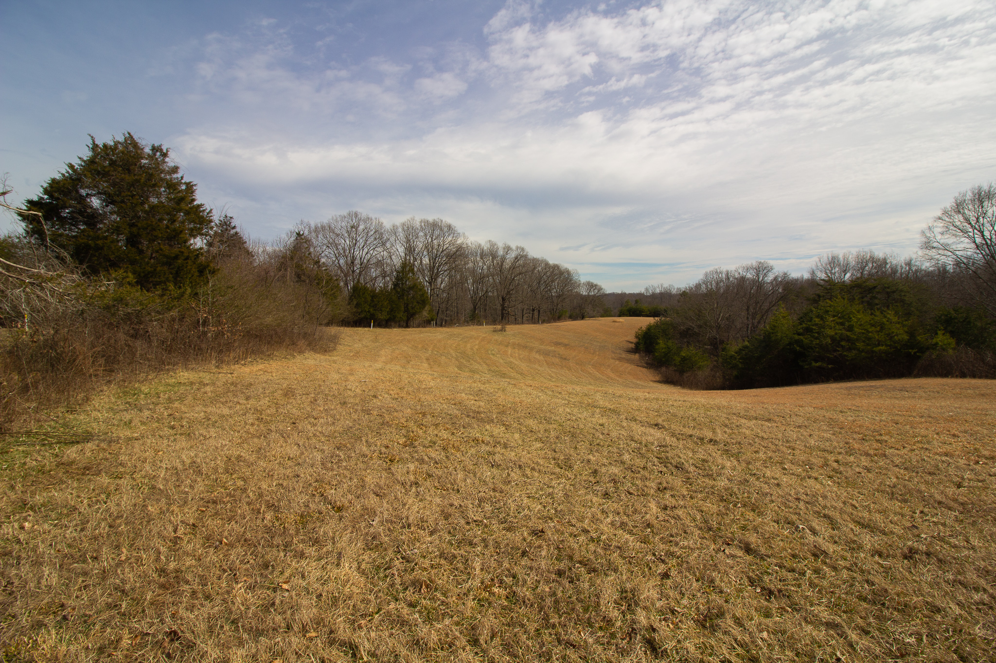 Builders Take Note! 9 Approved Lots in Amherst! Elon Forest Section 2A