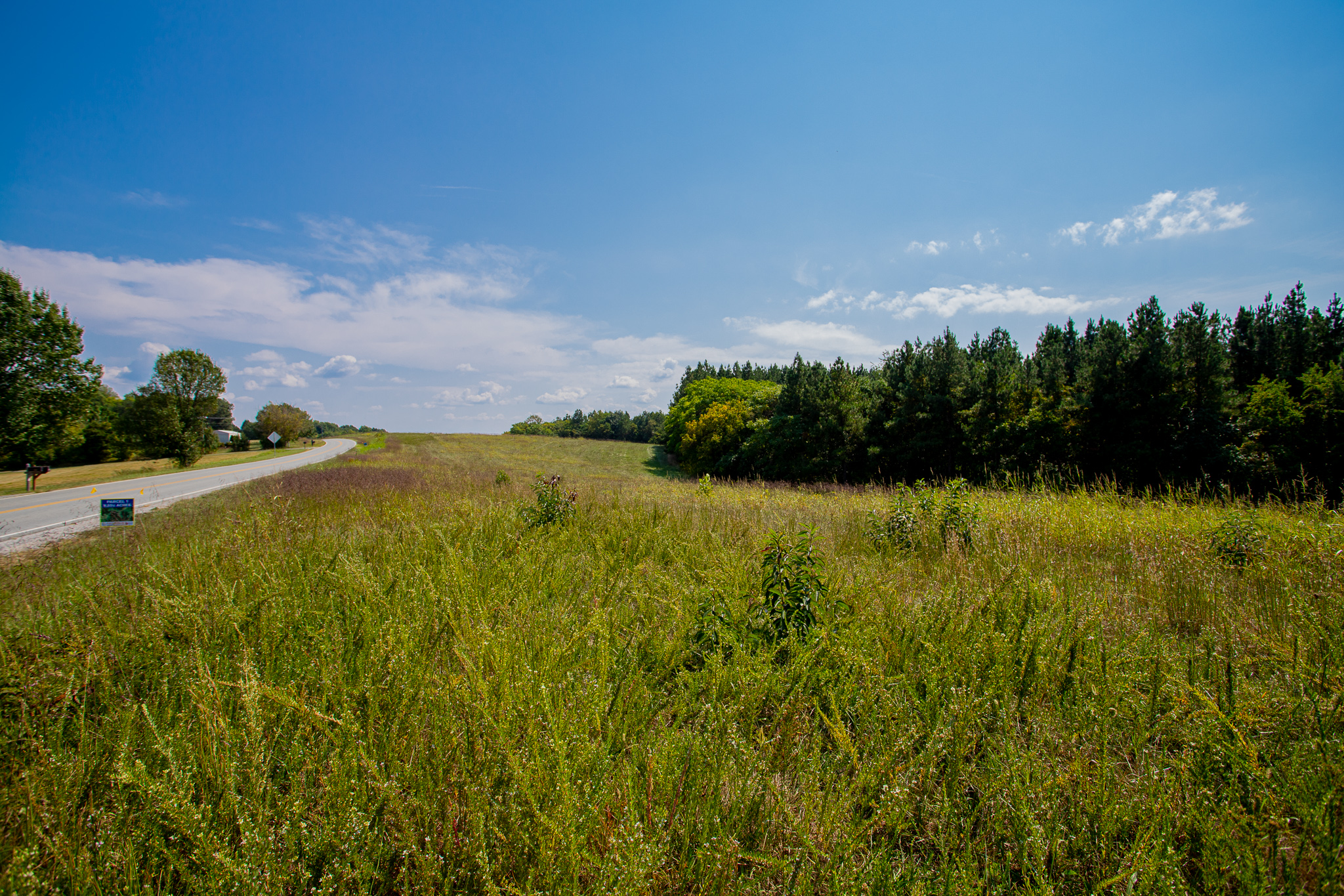 Rolling 2 Acres of Open Land in Rocky Mount! Truvine Road, Lot 3