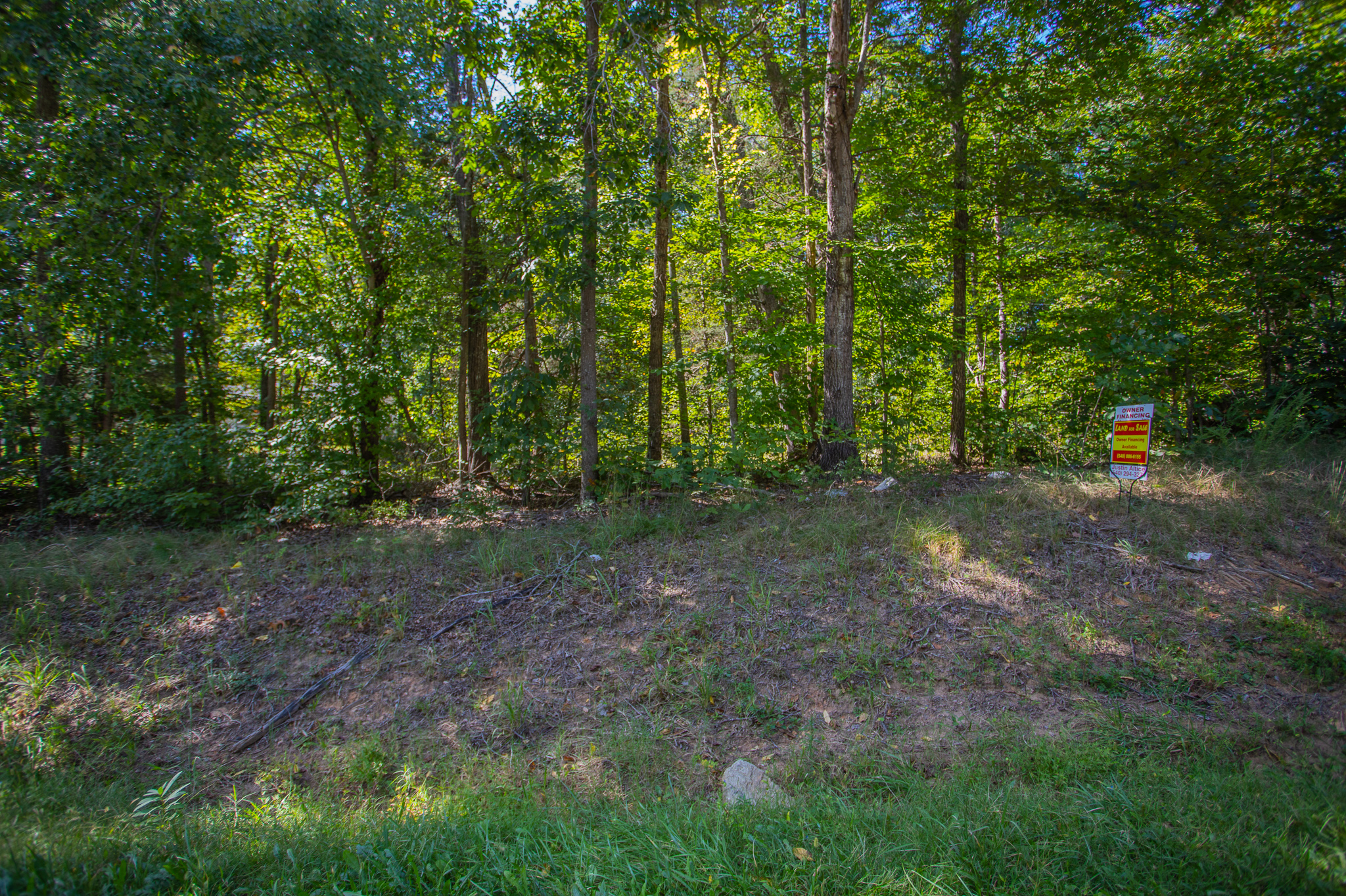 Beautifully Wooded 2.4 Acres in Drakes Branch