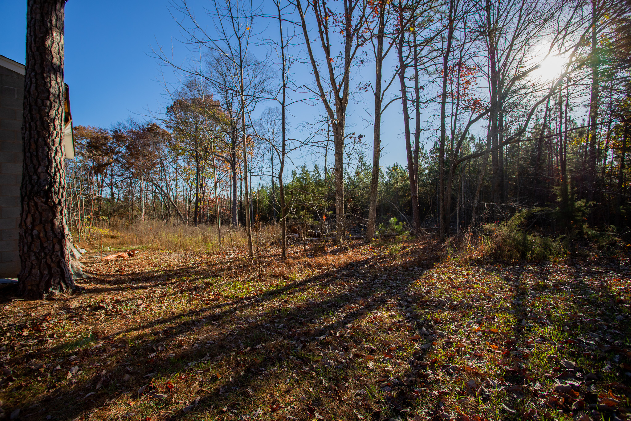 13 Wooded Acres in Buckingham County! S James River Hwy