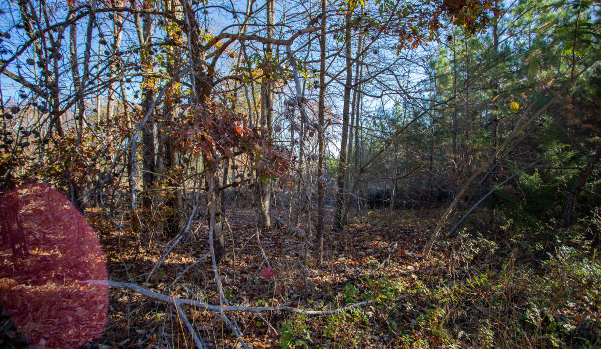 2867 S James River Hwy_27