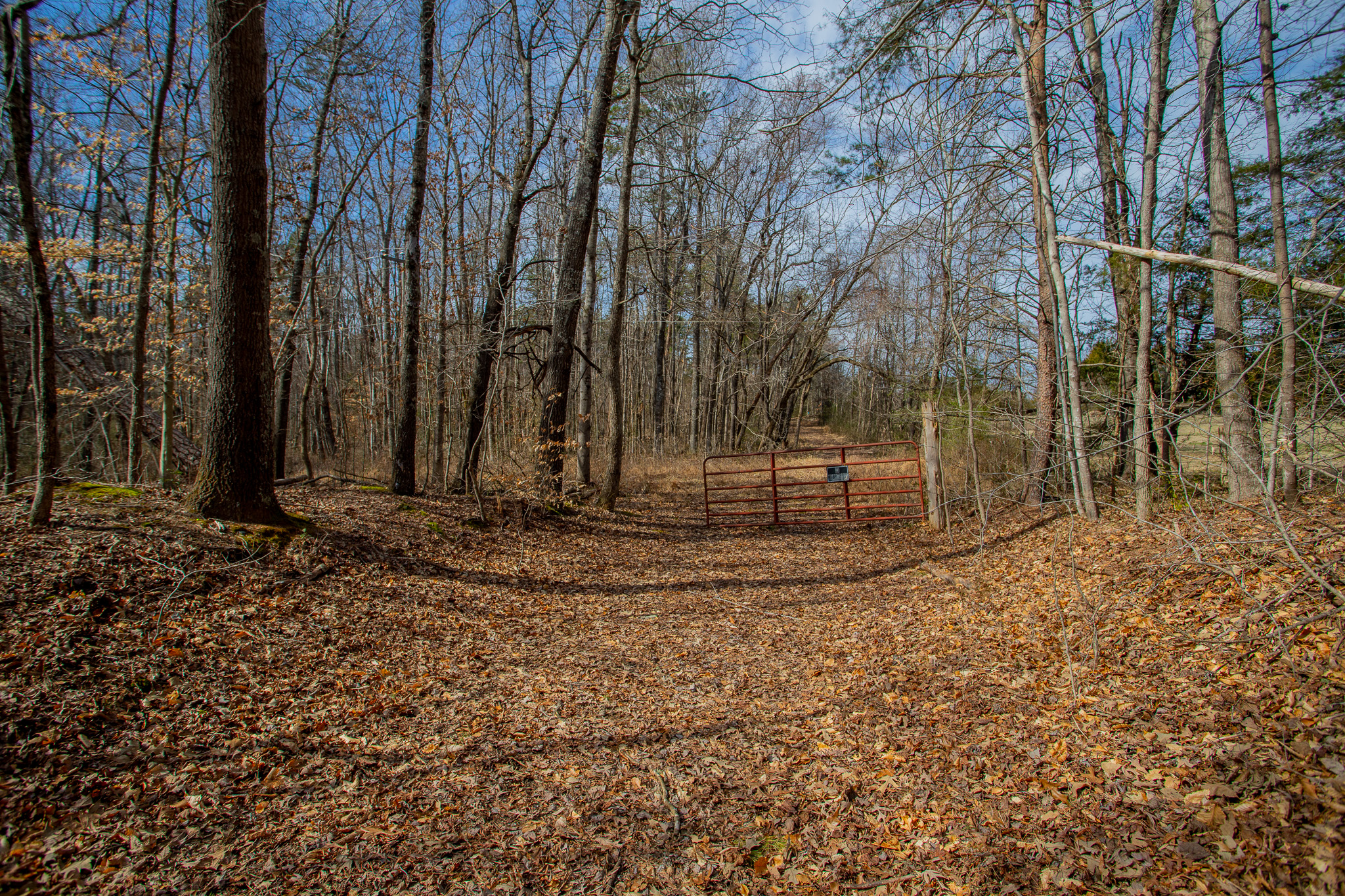 13 Wooded Acres in Halifax County on Black Walnut Road