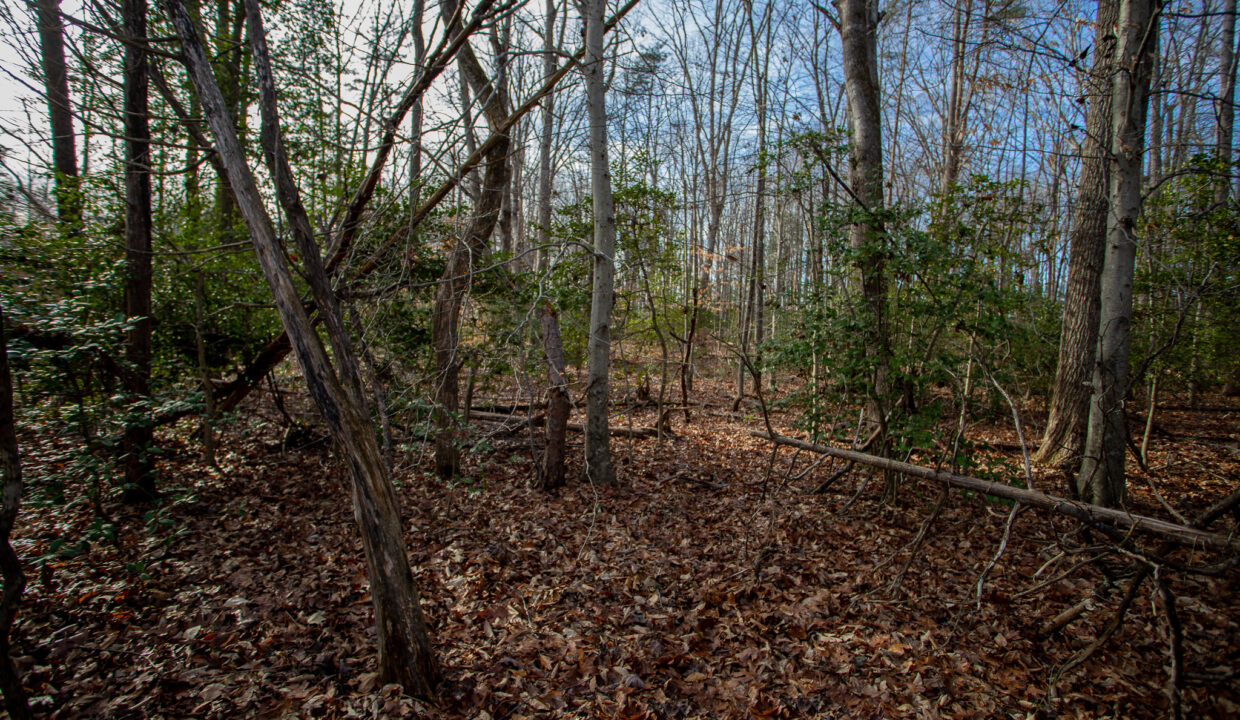 IMG_3012-Edit