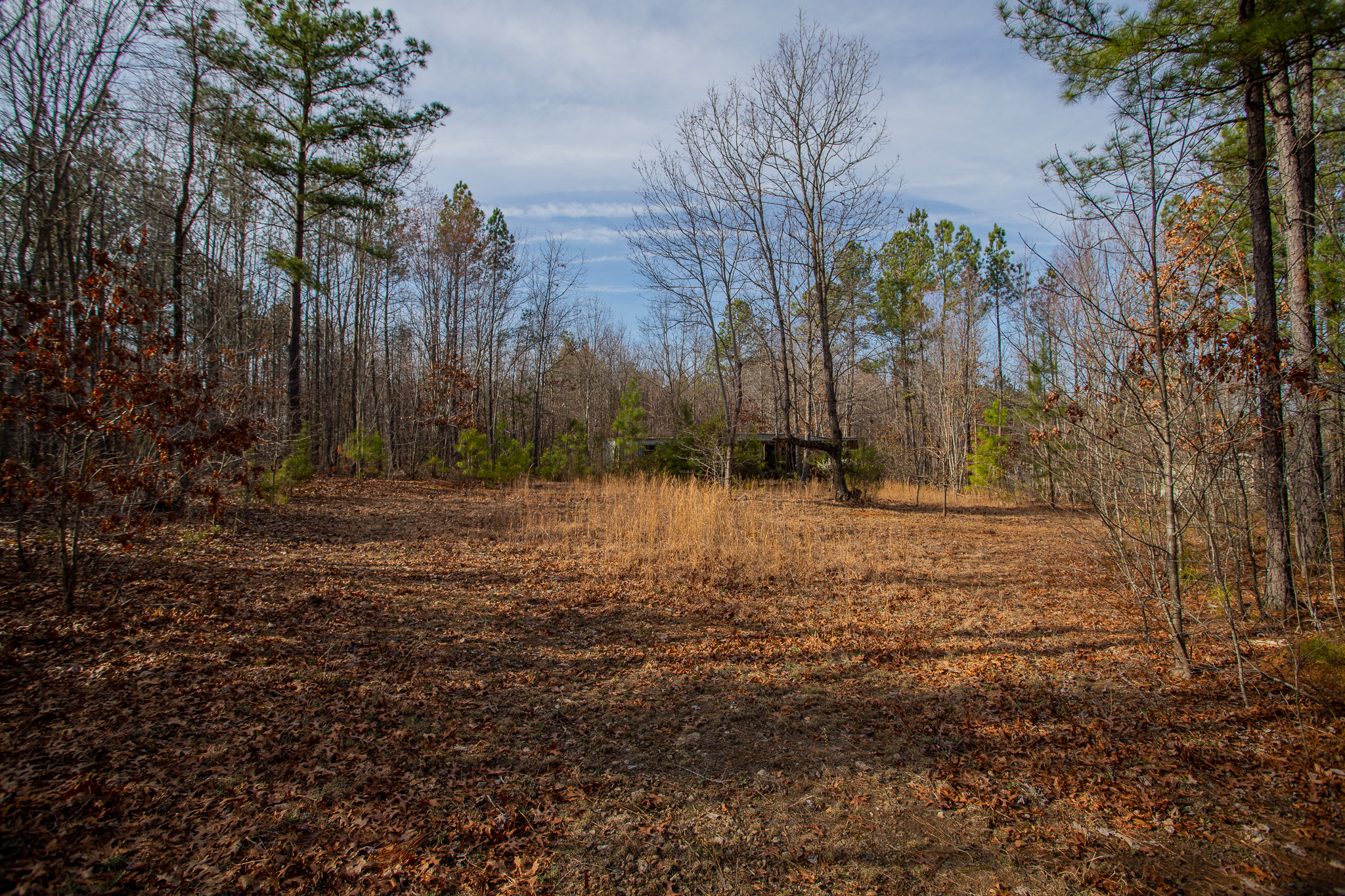 Beautiful Wooded Lot with Old Driveway! Slate Ridge in Buckingham County